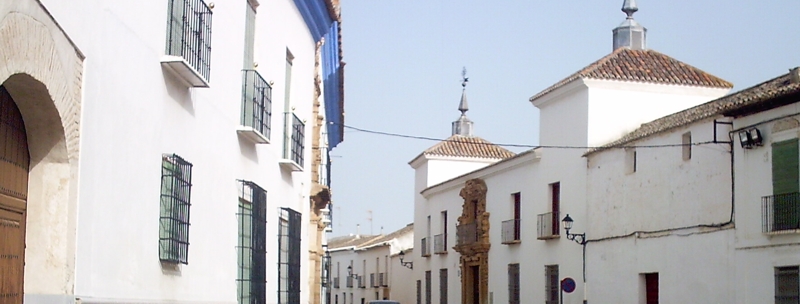 visita guiada por almagro